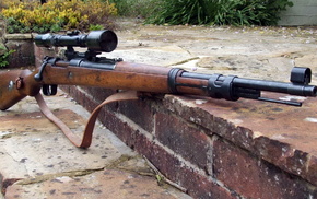 gun