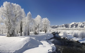 nature, river, snow, trees, winter