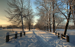snow, winter, trees