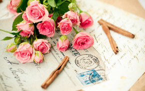 bouquet, flowers, flower, pink, roses