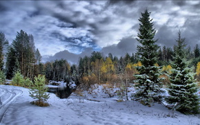 snow, river, trees, winter, forest