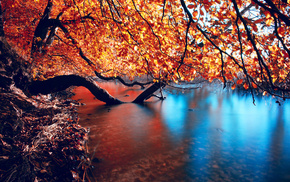 twigs, river, autumn, nature