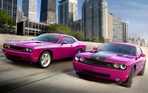 road, cars, pink, Dodge
