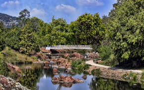 nature, summer, bridge