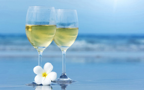 sea, wine, stemware, summer