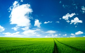 clouds, field, grass, nature