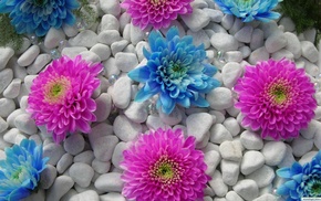 stone, flowers