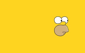 The Simpsons, Homer Simpson