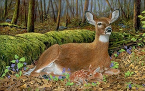 wallpaper, forest, deer, animals