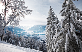 valley, forest, mountain, winter