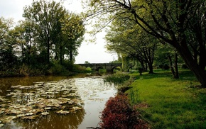 river, nature, bridge