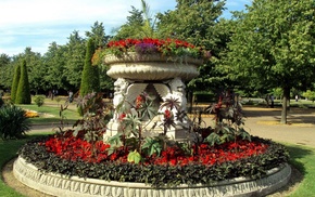 flowers, park, nature