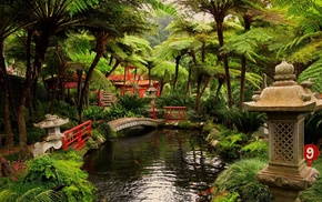nature