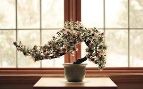 window, flowers, flower