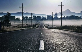 mist, road, nature