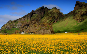 valley, flowers, sky, field, mountain