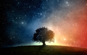 space, trees, grass, stars