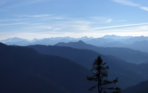 nature