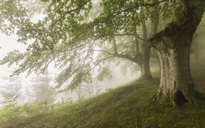 nature