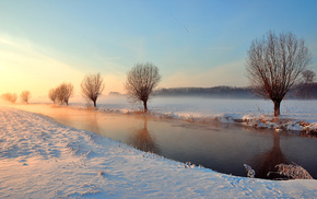 trees, winter, light, river