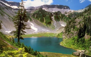 trees, lake, mountain, nature