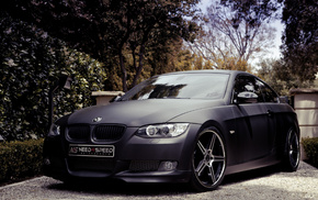 trees, BMW, cars, black