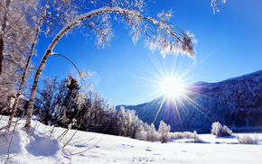 Sun, tree, mountain, winter, nature