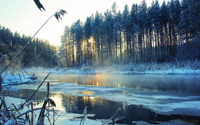 winter, snow, trees, landscape, river