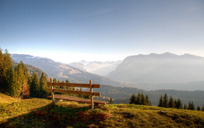 nature, mountain, forest