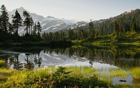 mountain, summer, pine trees, lake, reflection