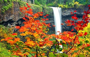 autumn, waterfall