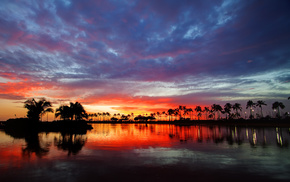 water, sky, nature, palm trees