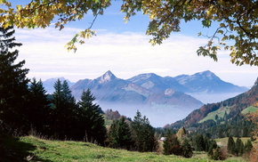 nature, mountain, forest