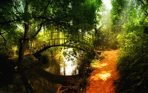nature