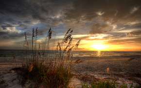 nature, grass, sunset, sea, sand