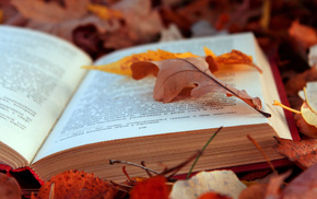 book, foliage, stunner, leaves, text
