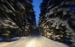 road, trees, macro, winter, snow
