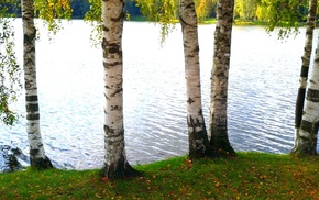 lake, autumn