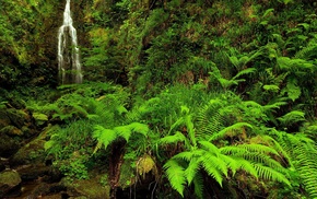 nature
