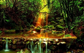 creek, forest, nature, rays
