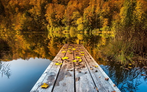 bridge, leaves, lake, autumn, nature