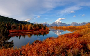 sky, forest, mountain, autumn, river