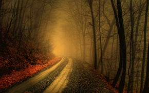 road, autumn