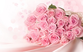 flowers, tenderness, roses, bouquet