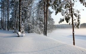 winter, snow, forest