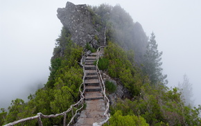 mist, stairs, nature