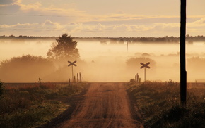 road, mist, field, nature