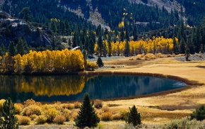 nature, forest, lake, autumn