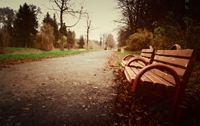 autumn, beautiful, park, bench, nature