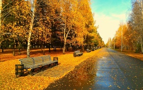 bench, park, foliage, autumn, evening